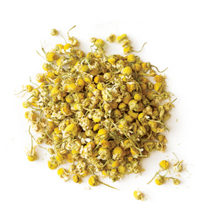 Golden Chamomile - Jolene's Tea House